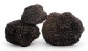 truffles ww1.png