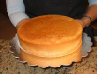 Sponge Cake