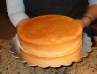 Sponge Cake Sponge Cake
